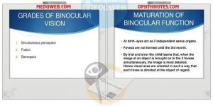 Binocular single vision