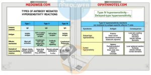 Short message types of hypersensitivity reactions