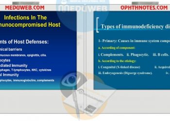 Infections in the immunosuppressed