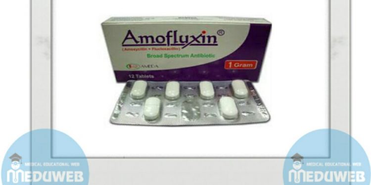 Amofluxin Capsules