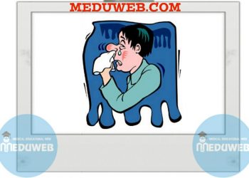 MUCOLAN Mucolytic Syrup